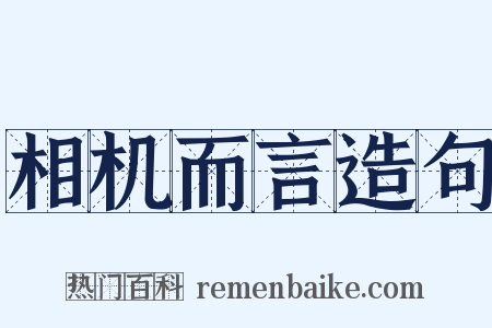 相机而言造句是什么意思的图片